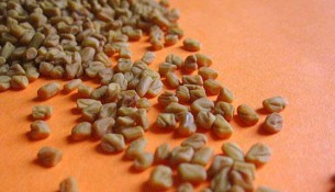 வெந்தயம், Fenugreek, வெண்தயம், குளுமை