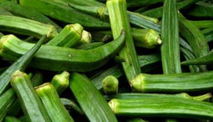 வெண்டைக்காய் வெண்டைக்காய்