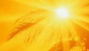 கோடை கோடை, summer, diabetes, sugar, சர்க்கரை நோயாளிகள்