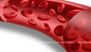 ரத்த நாளம், Blood, Hemoglobin, increase Hemoglobin, Increase Blood, Healthy life, blood cure, Blood increase