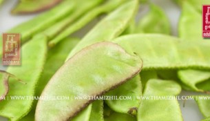 அவரை, Nei, Ghee, ghee, health, Healthy, digestion, நெய், உடல்நலம், மருத்துவம், ஆரோக்கியம், சித்த, இயற்கை